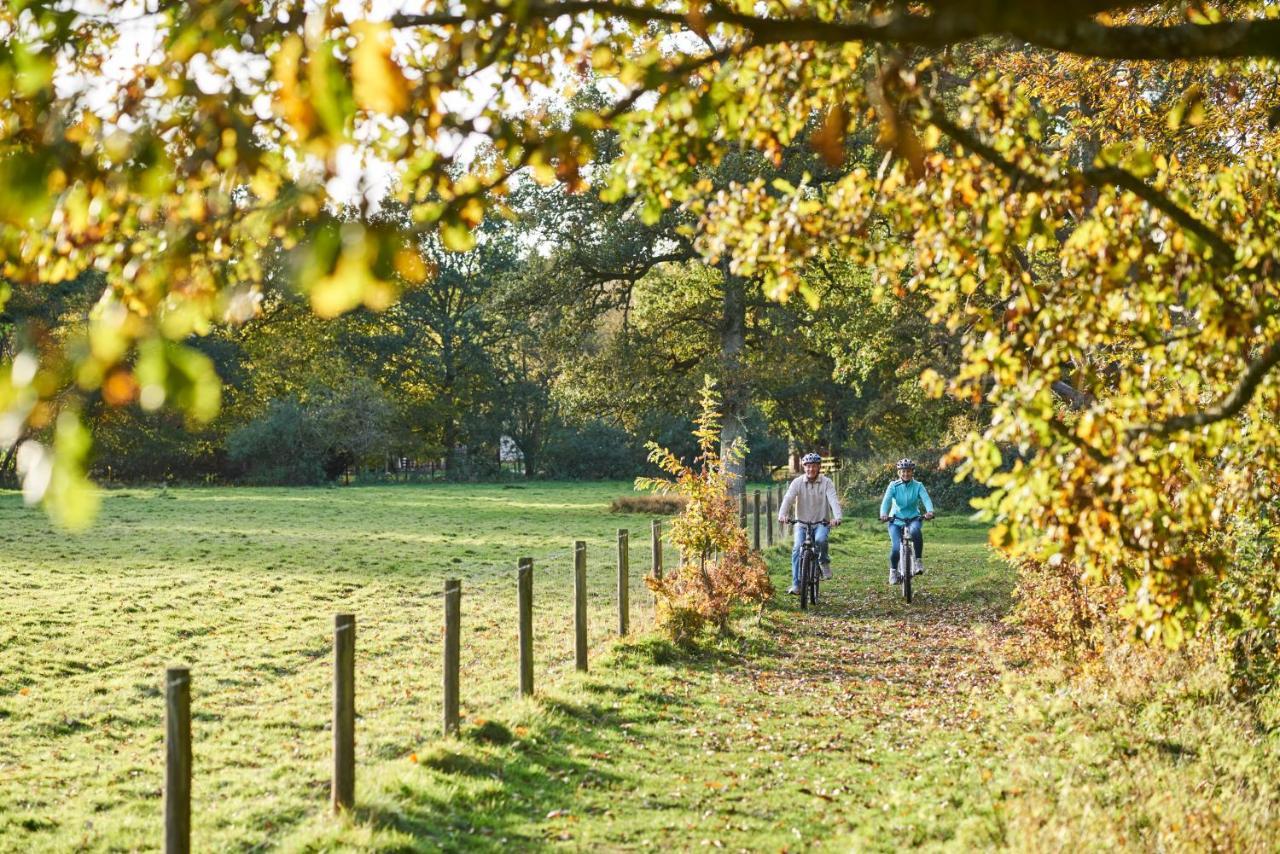 Whitemead Forest Park 호텔 라드니 외부 사진